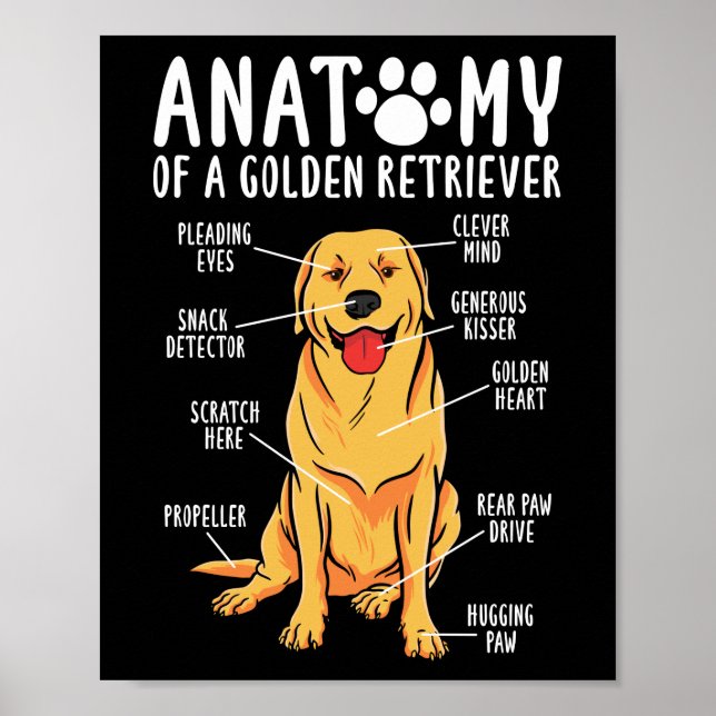 Retriever Dogs Anatomy of a Golden Retriever Mom Poster (Vorne)