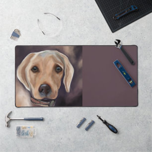 Retriever du Labrador