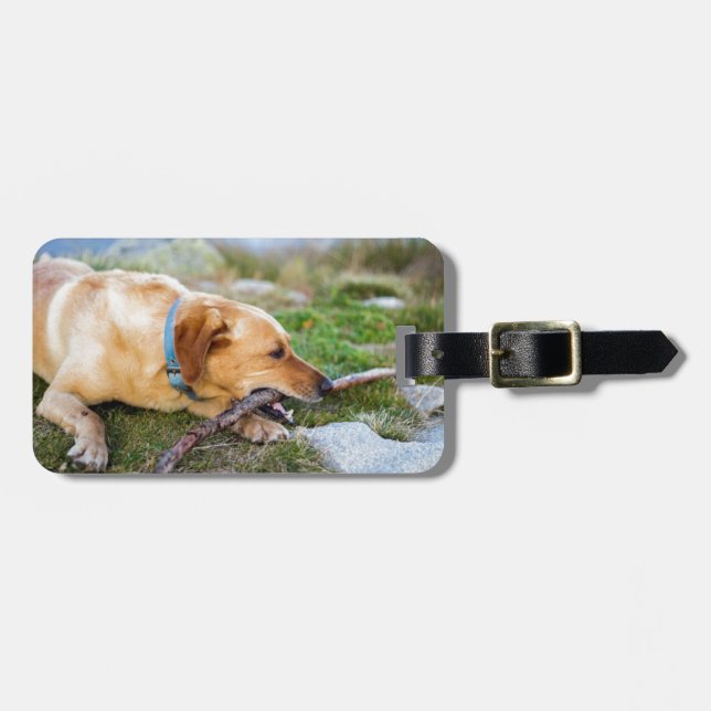 Retriever Gepäckanhänger (Vorderseite horizontal)