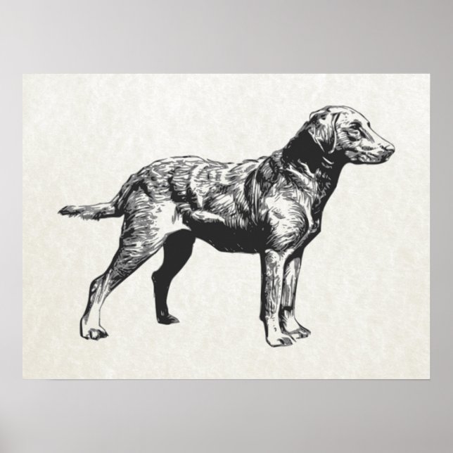 Retriever Poster (Vorne)