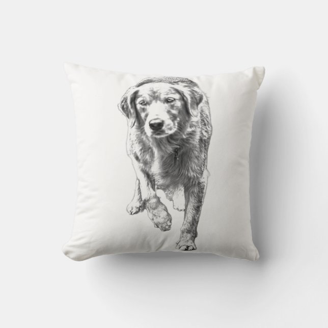 Retriever Textur in Fall Light Kissen (Vorderseite)