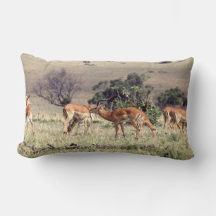 Retro 1963 Wild Impala, African Antelope Animal Lendenkissen