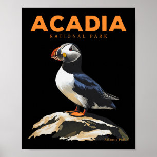 Retro Acadia Nationalpark Atlantik-Papageientauche Poster