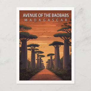 Retro Allee der Baobabs Madagaskar Natur Postkarte