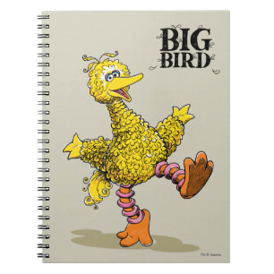 Retro Art Big Bird Notizblock