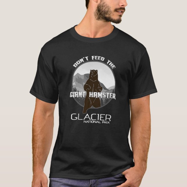 Retro Asheville North Carolina NC Blue Ridge Mount T-Shirt (Vorderseite)