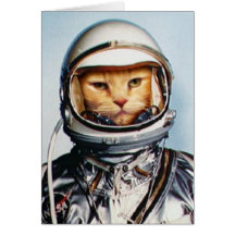 Retro Astronautenkatze
