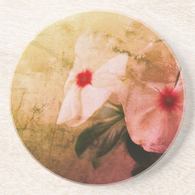 Retro Blume Foto Sandstone Drink Untersetzer (Vorne)