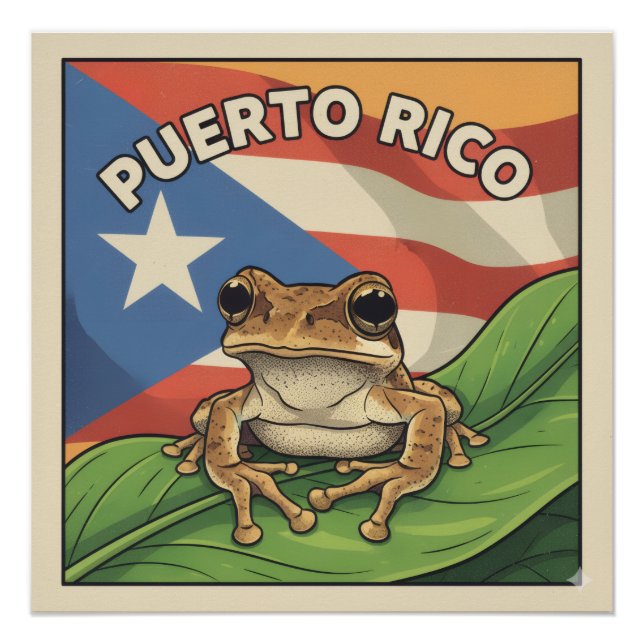 Retro-Boricua-Stolzposter Poster (Vorderseite)