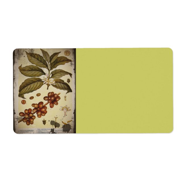 Retro Botanischer Image-Kaffee (Vorne)