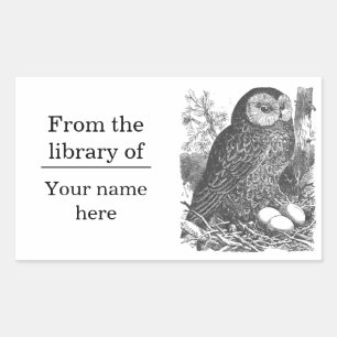 Retro-Brooding-Uhu zeichnend Buchzeichen Rechteckiger Aufkleber