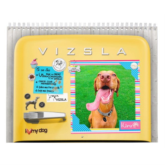 Rétro calendrier de réfrigérateur de VIZSLA (Protection)
