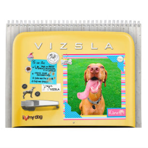 Rétro calendrier de réfrigérateur de VIZSLA