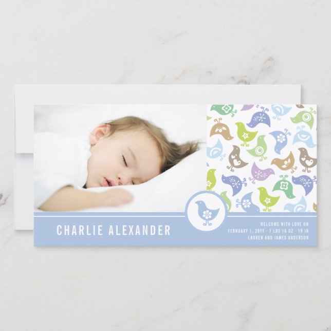 Retro Chicks Junge Geburtshinweis Foto-Karte Ankündigung (Vorderseite)