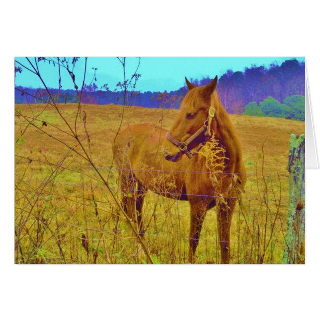 Retro Colored Horse (Vorderseite (Horizontal))