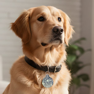 Retro-Disco-Hundehalsband-Identifikationsanhänger Haustiermarke
