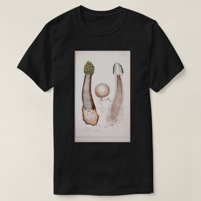 Retro-essbarer und giftiger Rode-Phallus-Pilz T-Shirt (Design vorne)