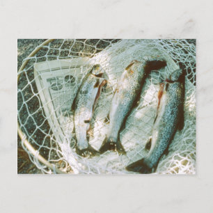 Retro-Fischernetz und Forellen-Postkarte Postkarte