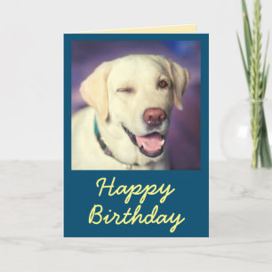 Retro Funny Chien et Bonne carte d'anniversaire