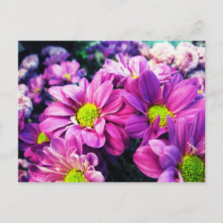 Retro Gänseblümchen I Postkarte