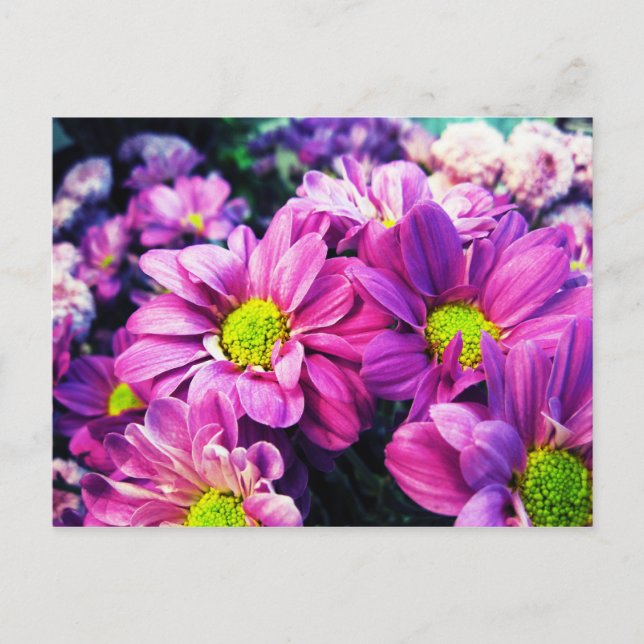 Retro Gänseblümchen I Postkarte (Vorderseite)