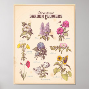 Retro Garden Blume Poster