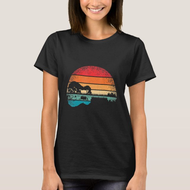 Retro Guitar Lake Sunset Gitarrist Music T-Shirt (Vorderseite)