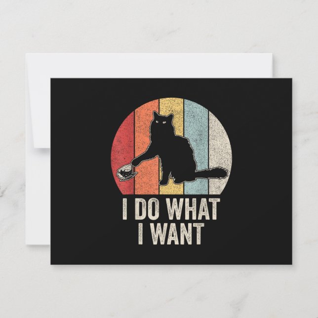Retro I Do I What I Woll Cat Shirt Cat Lover Eigen (Vorderseite)