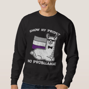 Retro Llama Alpaca Bisexual Lesbian Gay Pride Lgbt Sweatshirt