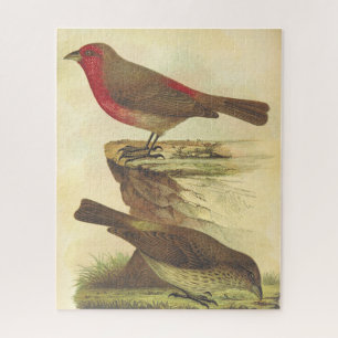 Retro-Look, Puzzle mit zwei stehenden Vögeln