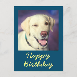 Retro lustiger Hund und Happy Birthday Postkarte