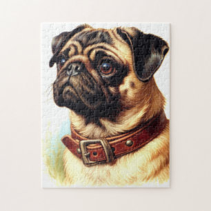 Retro-Malerei auf niedlichen Mops