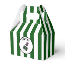 Retro Mint