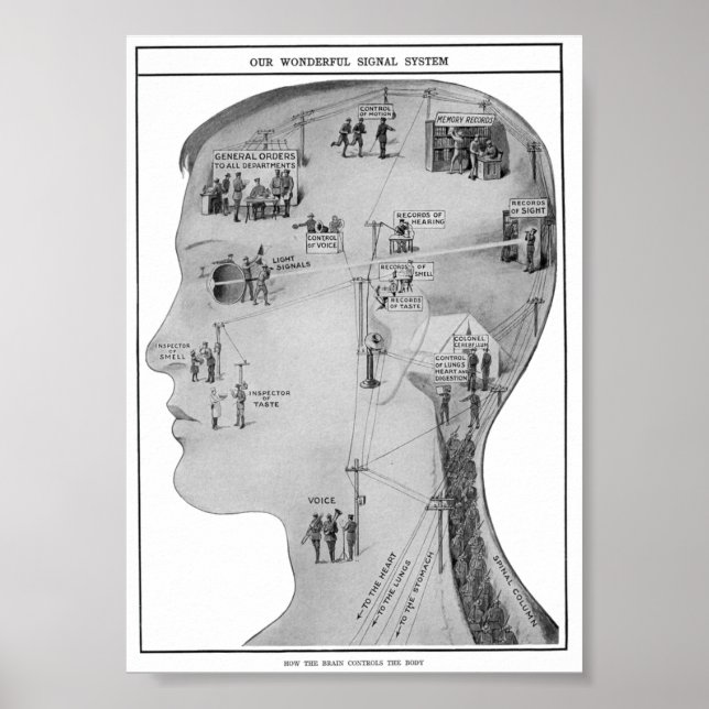 Retro pädagogisch  poster (Vorne)