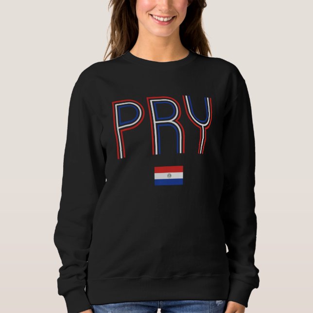 Retro Paraguay Flagge Paraguayan Pride Vintag Para Sweatshirt (Vorderseite)