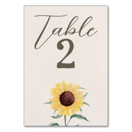 Retro Pastel Color Daisy Wedding Tischnummer