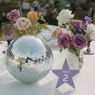 Retro-Pastell-Disco-Hochzeitstisch-Nummer Acryleinladungen