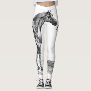 Retro Pferdemuskel-Anatomiebild Leggings