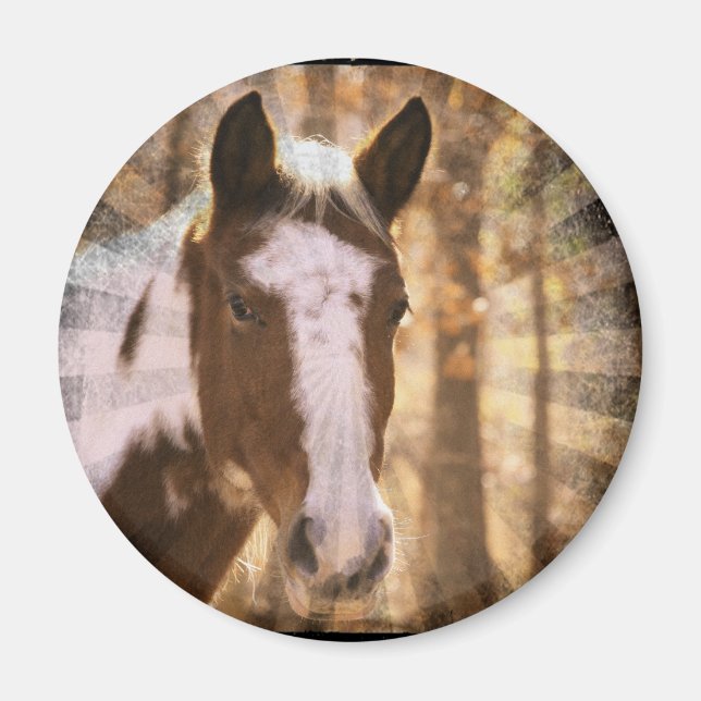 Retro Pinto Magnet (Vorne)