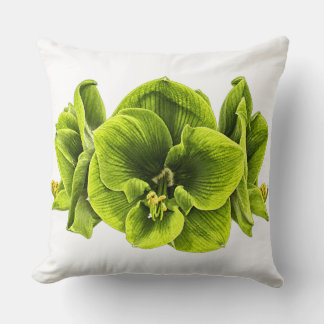 Retro-Pop-Art-Grüne-Amaryllis-Wurfkissen Kissen
