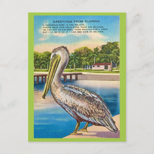 Retro-Postkarte von Florida Postkarte