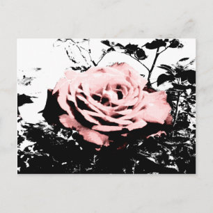 Retro-Rose Postkarte