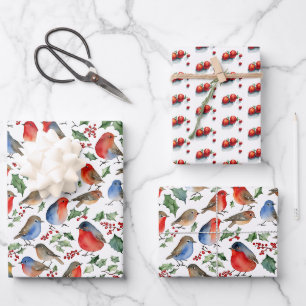 Retro Roter Weißer Rotkehlchen Weihnachten Frucht  Geschenkpapier Set