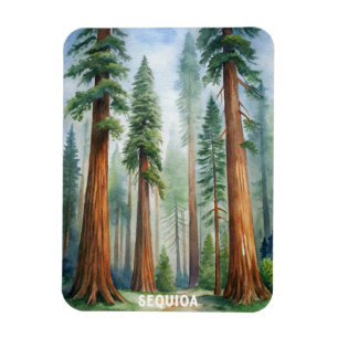 Retro-Sequoia-Nationalpark Magnet