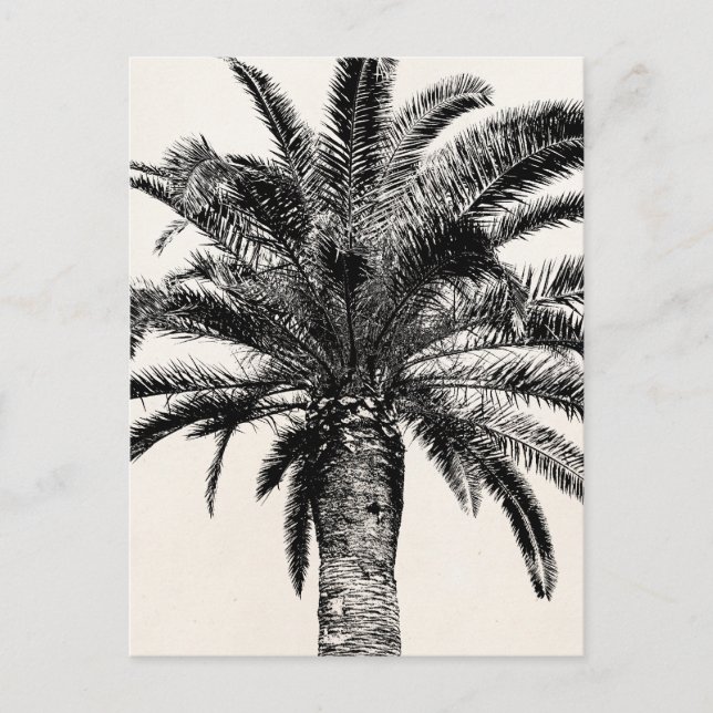 Retro Tropical Island Palm Tree in Schwarz-Weiß Postkarte (Vorderseite)