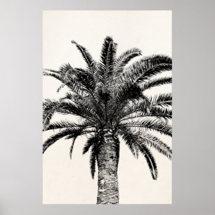 Retro tropische Insel-Palme in Schwarzweiss Poster