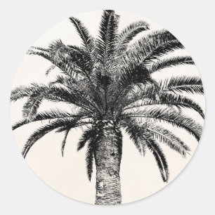 Retro tropische Insel-Palme in Schwarzweiss Runder Aufkleber
