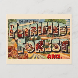 Retro versteinerten Wald Arizona Postkarte