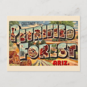 Retro versteinerten Wald Arizona Postkarte
