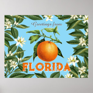 Retro Vintage Grüße aus Florida Orange Frucht Poster